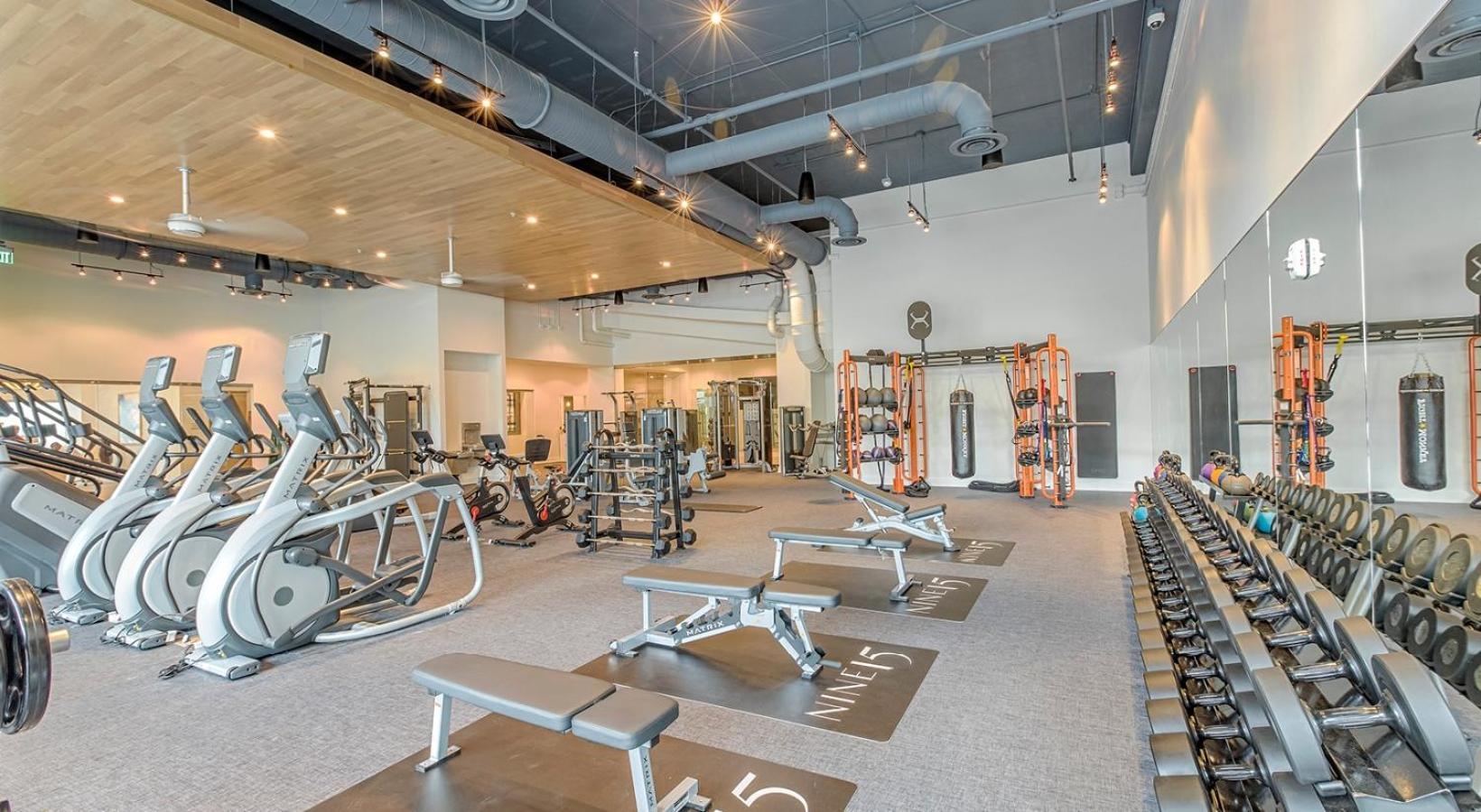 1Br Oasis In Downtown Tampa W Balcony & City Views Dış mekan fotoğraf